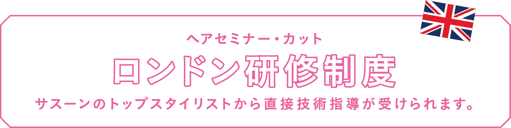 ヘアセミナー・カット ロンドン研修制度 サスーンのトップスタイリストから直接技術指導が受けられます。