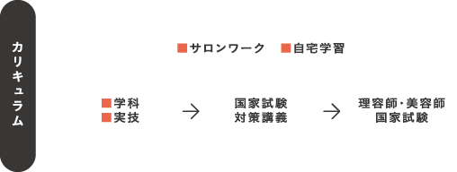 カリキュラム ●サロンワーク　●自宅学習 ●学科 ●実技 国家試験対策講義 理容師・美容師国家試験