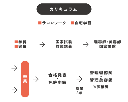 カリキュラム ●サロンワーク　●自宅学習 ●学科 ●実技 国家試験対策講義 理容師・美容師国家試験