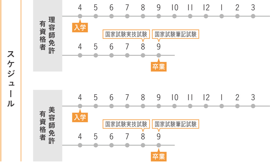 スケジュール