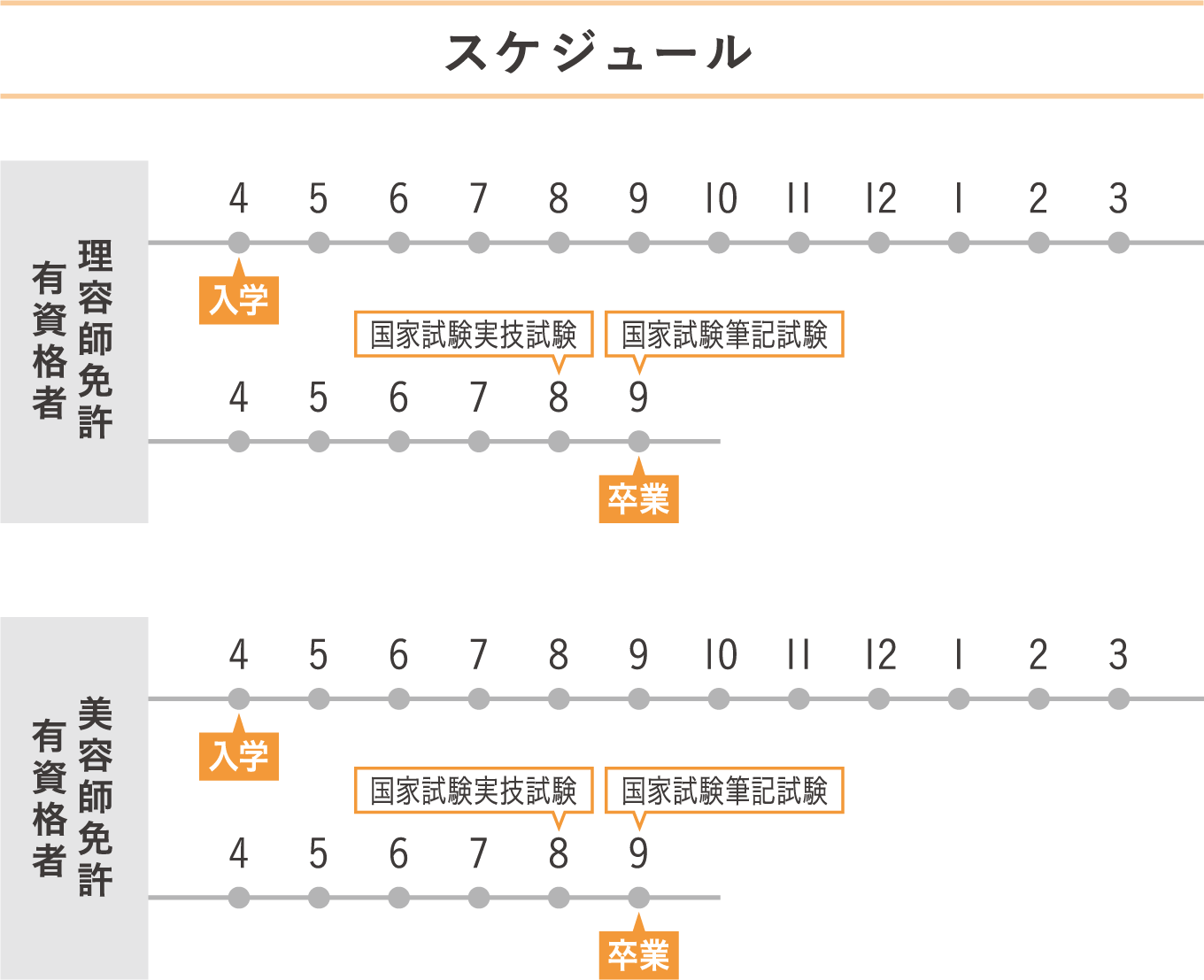 スケジュール